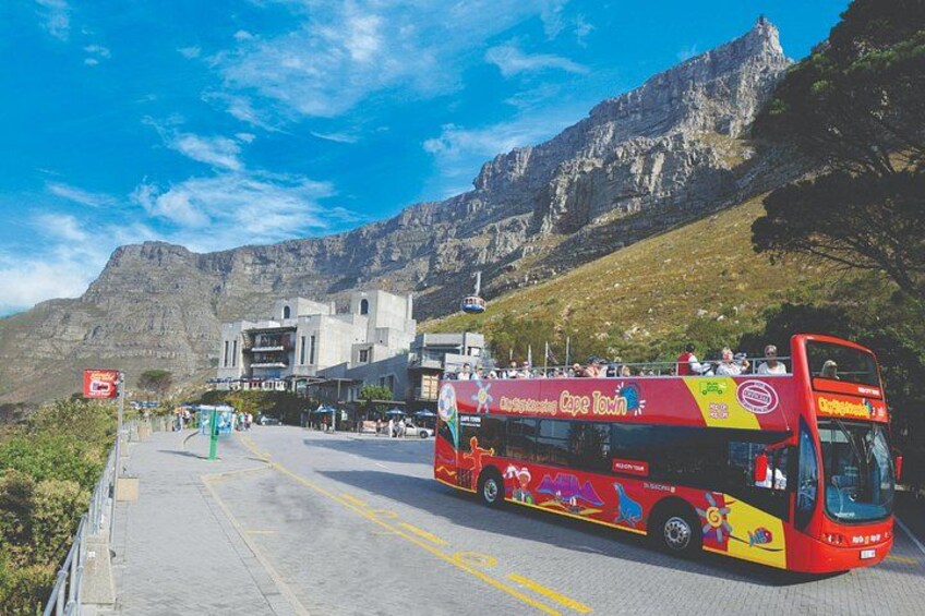 Cape Town Hop-On Hop-Off City Tour with Optional Cruise 3