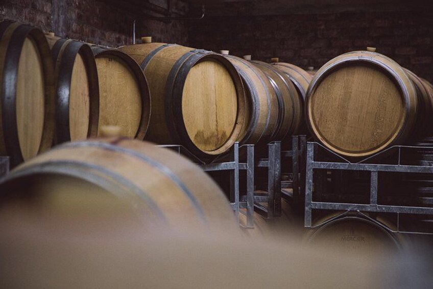 Enjoy a cellar tour 2