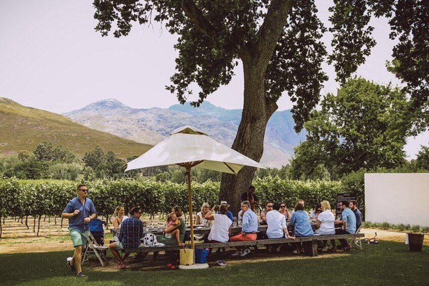 Lunch at one of the estates 5