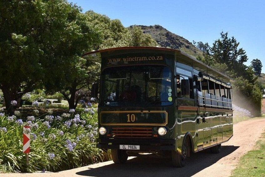 Tram and Tram buses 4