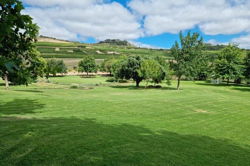 Wine Country 4