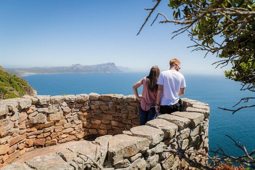 View at Cape Point 3