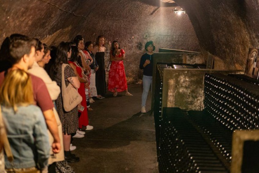 Ribera del Duero Wineries Guided Tour & Wine Tasting from Madrid 4