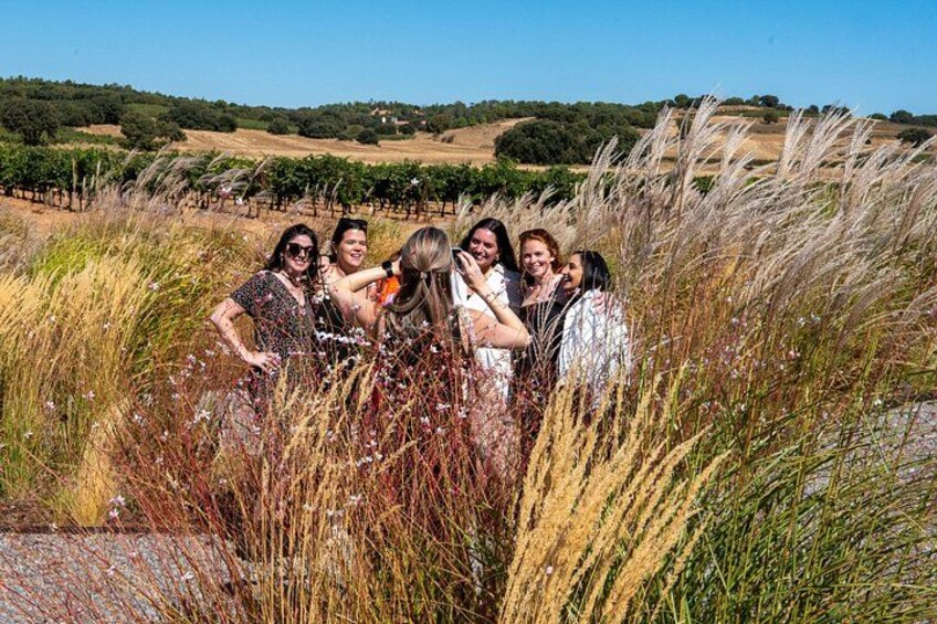Ribera del Duero Wineries Guided Tour & Wine Tasting from Madrid 2