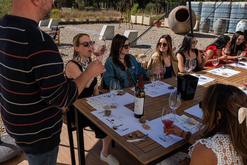 Ribera del Duero Wineries Guided Tour & Wine Tasting from Madrid 5