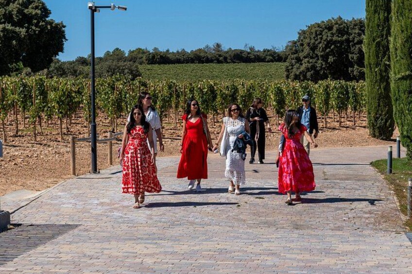 Ribera del Duero Wineries Guided Tour & Wine Tasting from Madrid 4