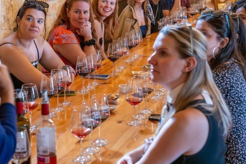 Ribera del Duero Wineries Guided Tour & Wine Tasting from Madrid 2