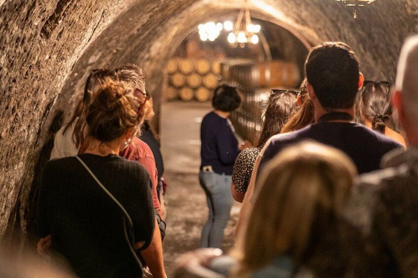 Ribera del Duero Wineries Guided Tour & Wine Tasting from Madrid 2