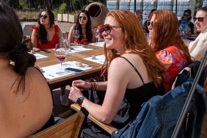 Ribera del Duero Wineries Guided Tour & Wine Tasting from Madrid 3
