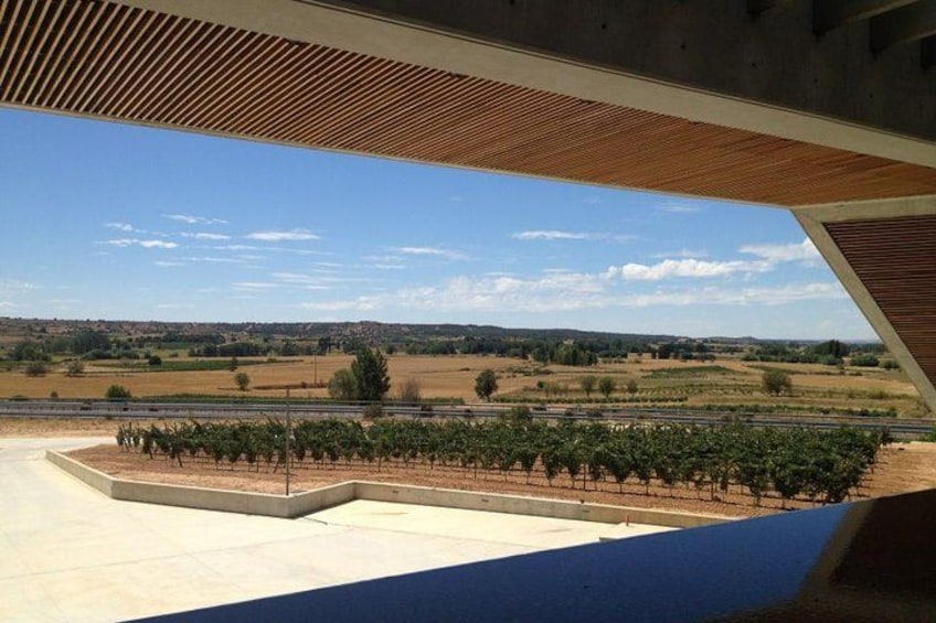 Discover Ribera del Duero 5