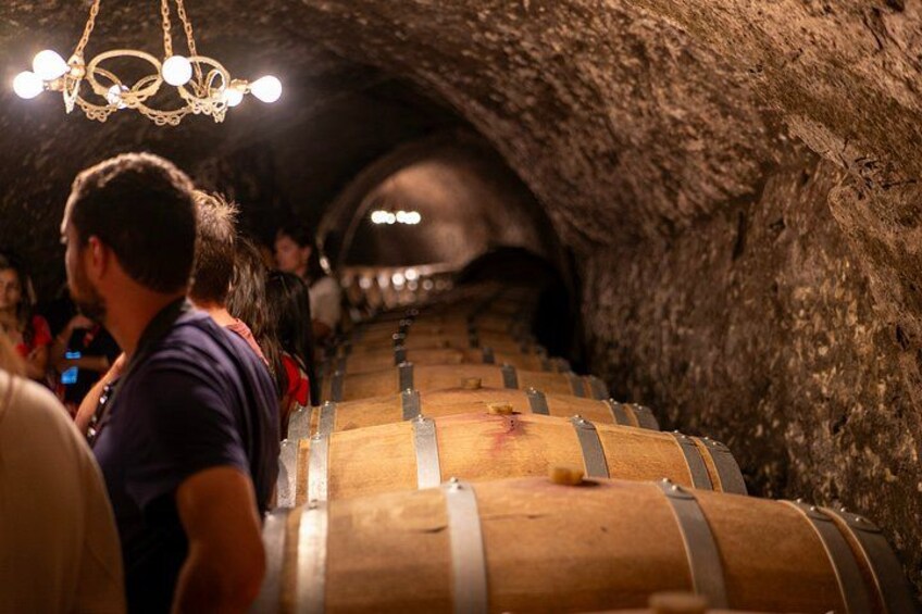 Ribera del Duero Wineries Guided Tour & Wine Tasting from Madrid 4
