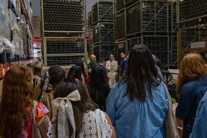 Ribera del Duero Wineries Guided Tour & Wine Tasting from Madrid 3