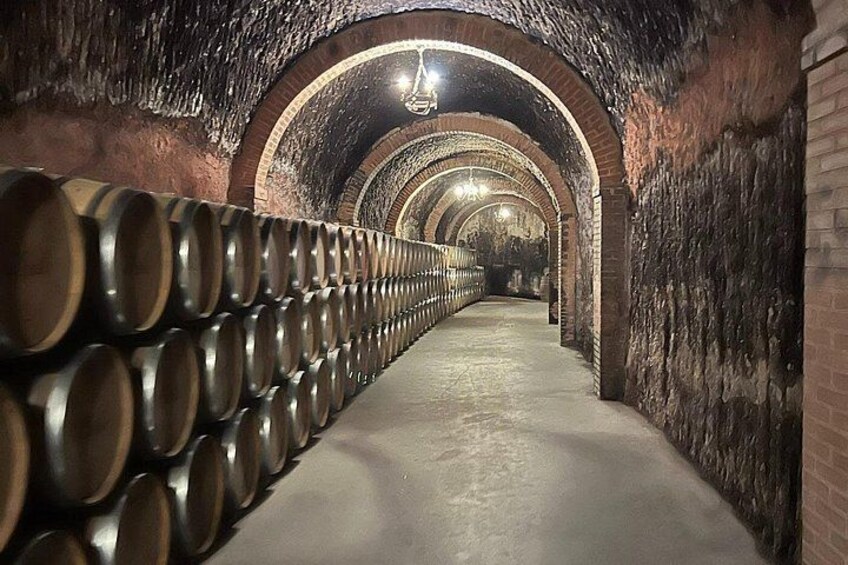 Tour Ribera de Duero 4