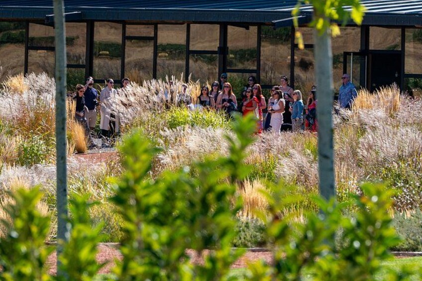 Ribera del Duero Wineries Guided Tour & Wine Tasting from Madrid 3