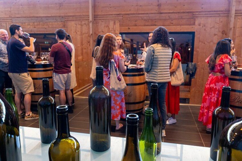 Ribera del Duero Wineries Guided Tour & Wine Tasting from Madrid 2