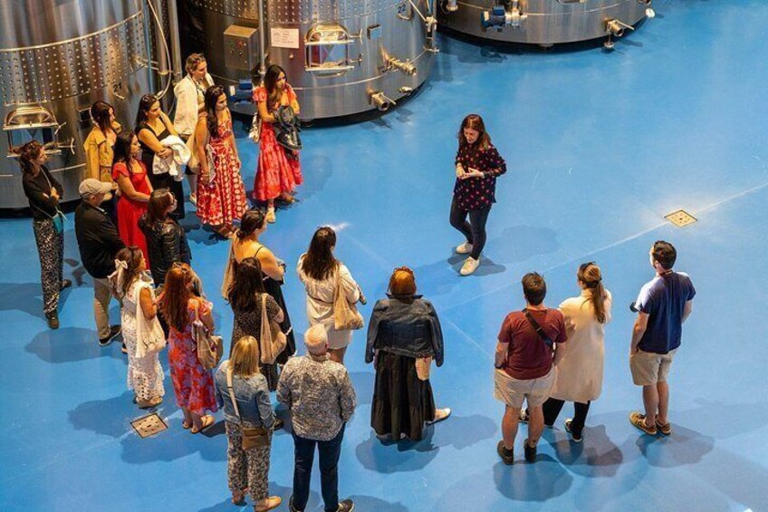 Ribera del Duero Wineries Guided Tour & Wine Tasting from Madrid 5