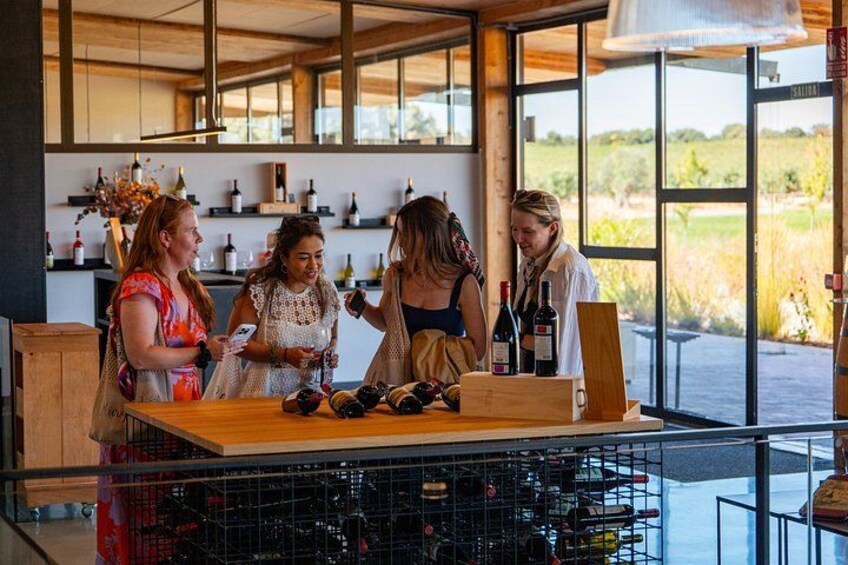 Ribera del Duero Wineries Guided Tour & Wine Tasting from Madrid 1