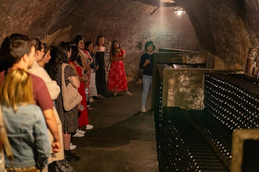 Ribera del Duero Wineries Guided Tour & Wine Tasting from Madrid 4