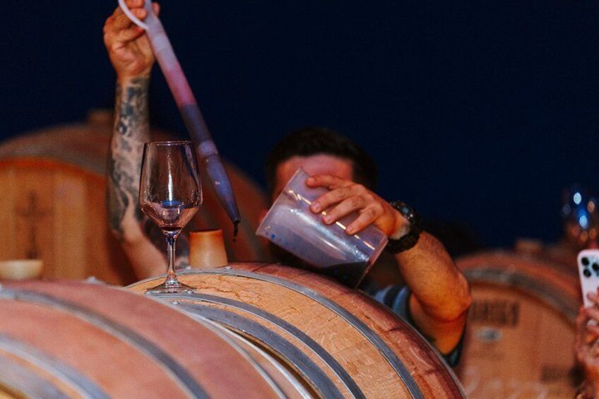 Madrid Countryside Wineries Guided Tour with Wine Tasting 3