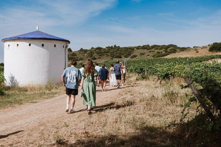 Madrid Countryside Wineries Guided Tour with Wine Tasting 4