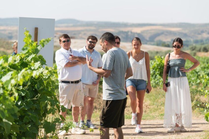 Madrid Countryside Wineries Guided Tour with Wine Tasting 2