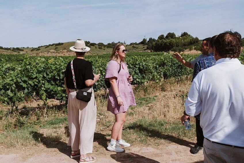 Madrid Countryside Wineries Guided Tour with Wine Tasting 2