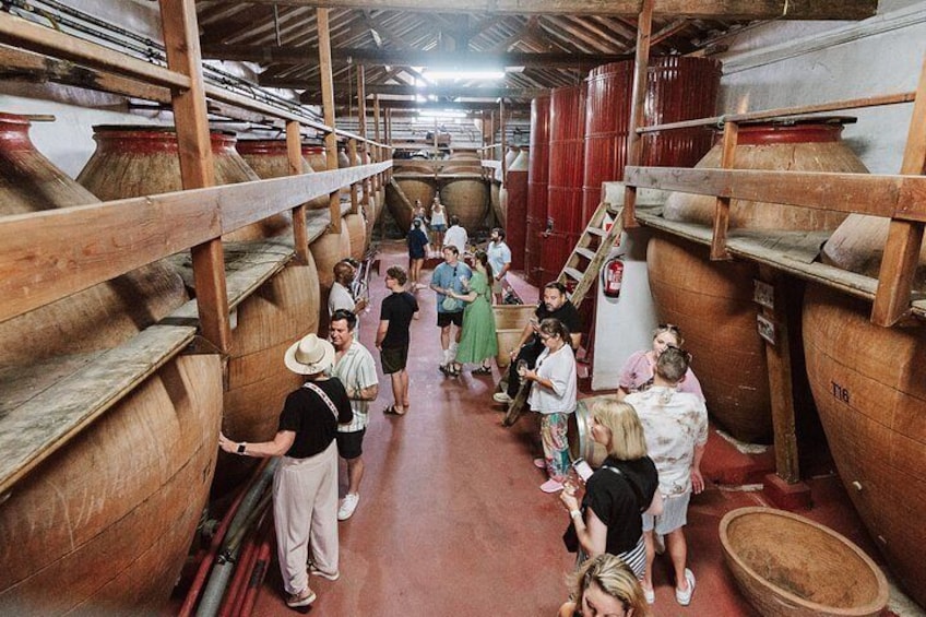 Madrid Countryside Wineries Guided Tour with Wine Tasting 3