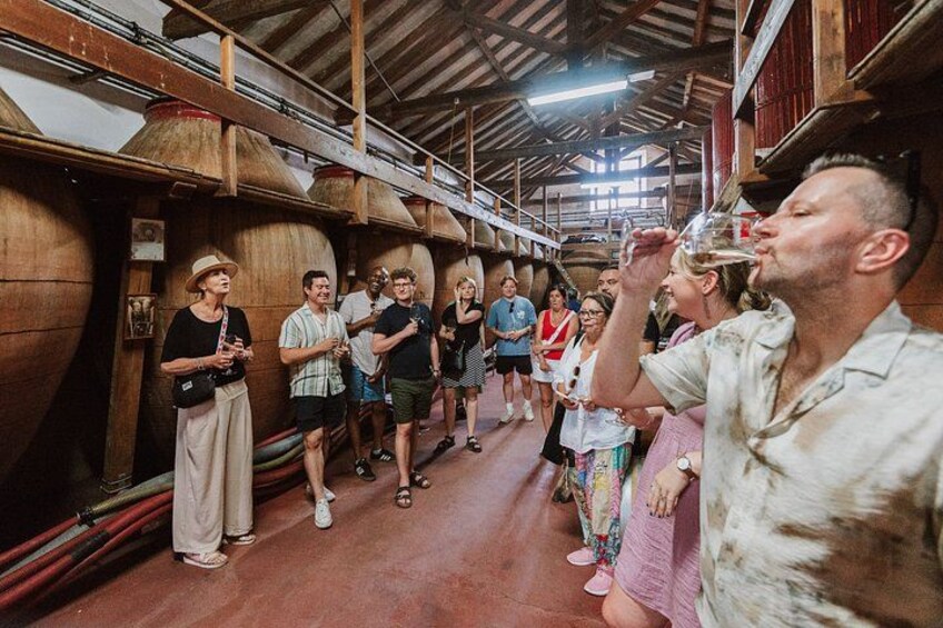 Madrid Countryside Wineries Guided Tour with Wine Tasting 3
