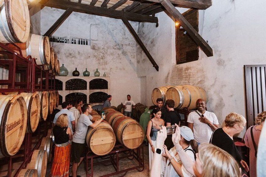 Madrid Countryside Wineries Guided Tour with Wine Tasting 5