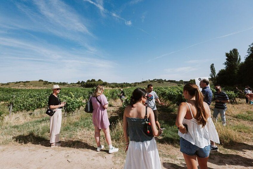 Madrid Countryside Wineries Guided Tour with Wine Tasting 2