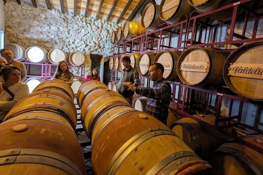 Madrid Wine Tour for Wine Lovers 5