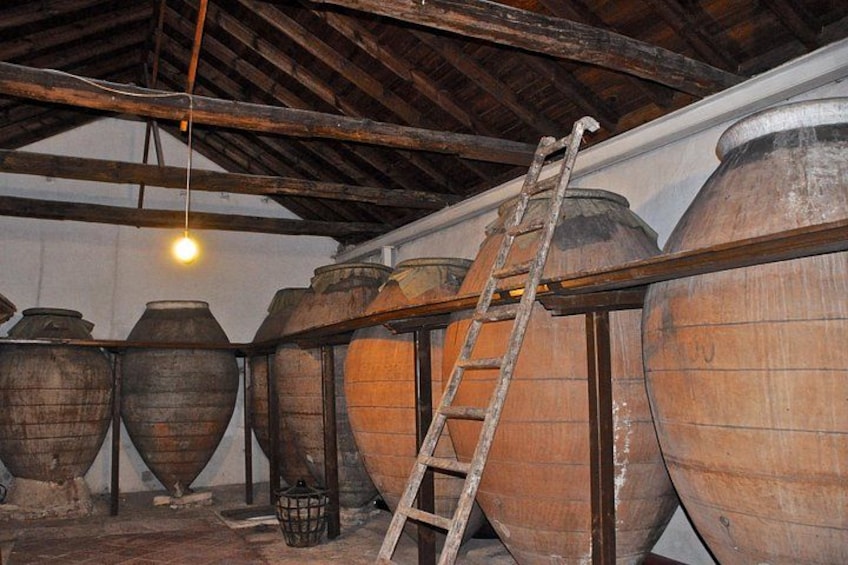 Madrid Wine Tour for Wine Lovers 2