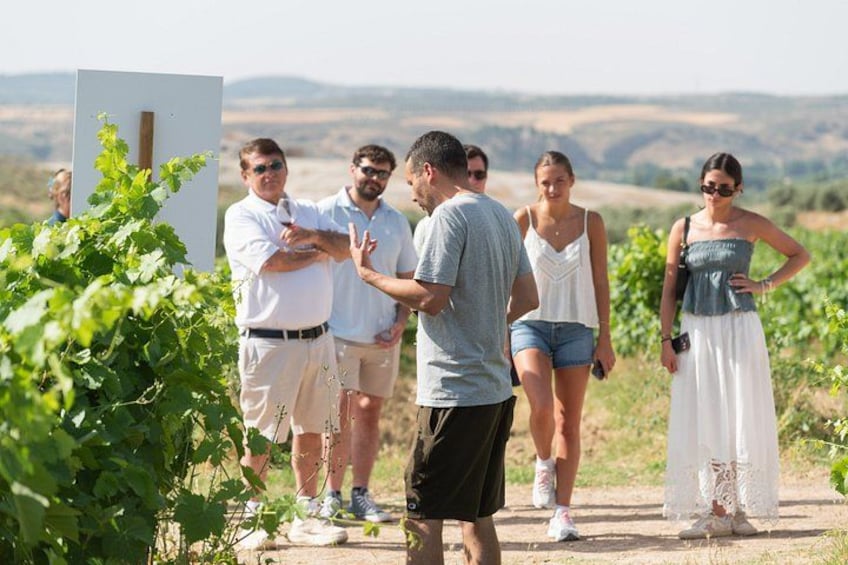 Madrid Countryside Wineries Guided Tour with Wine Tasting 2