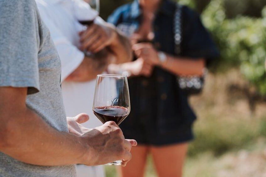 Madrid Countryside Wineries Guided Tour with Wine Tasting 2