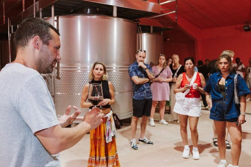 Madrid Countryside Wineries Guided Tour with Wine Tasting 4