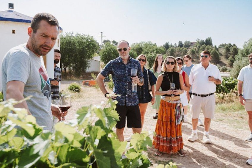 Madrid Countryside Wineries Guided Tour with Wine Tasting 4