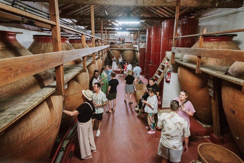 Madrid Countryside Wineries Guided Tour with Wine Tasting 3