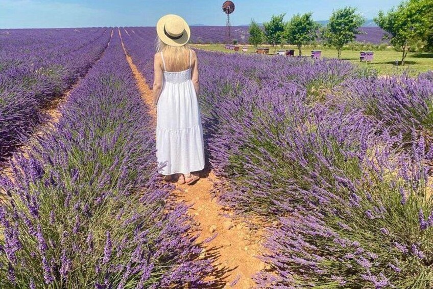 A woman in a white dress and straw hat walking down a lavender field. 5