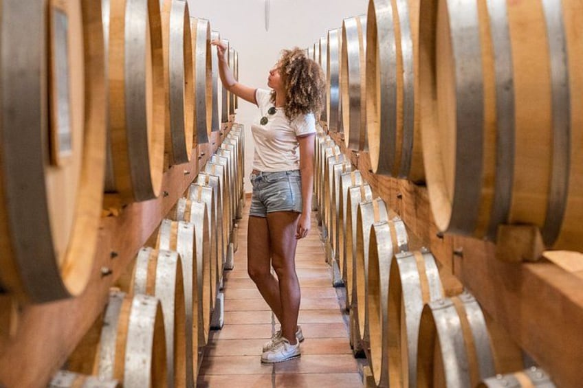 Cotes de Provence Wine Tour from Aix-en-Provence 1