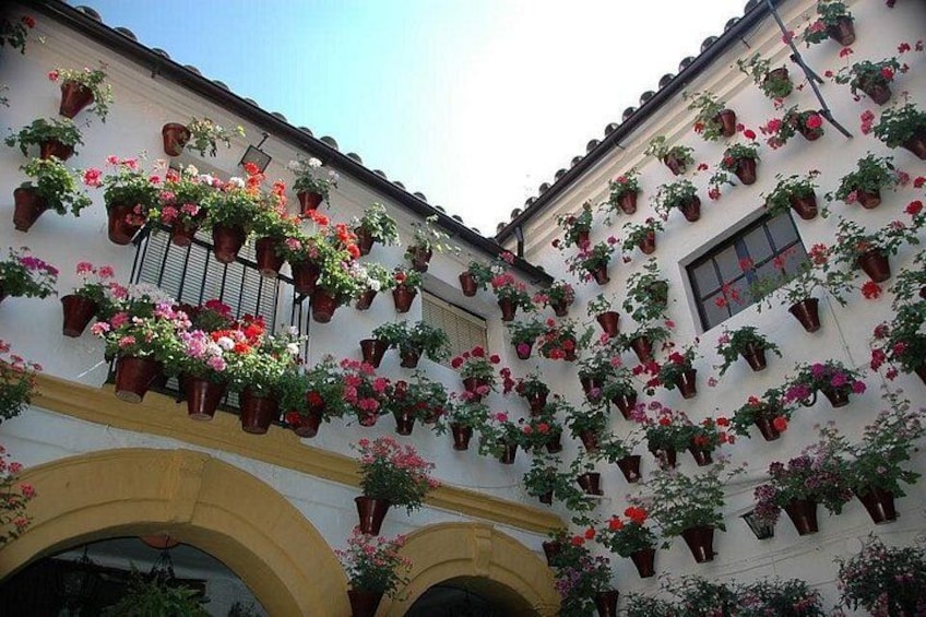 Private Tour: Cordoba Day Trip from Madrid by High-Speed Train 5