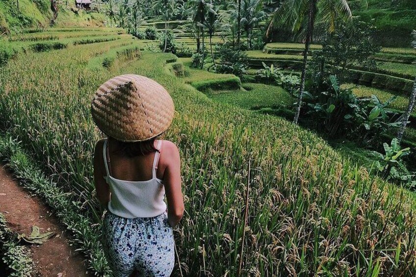 Ubud Rice Terrace