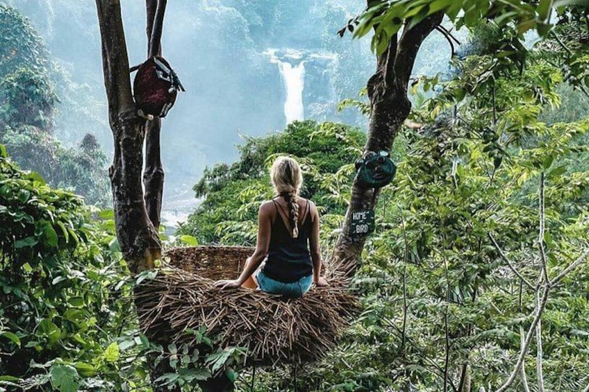 Bird Nest - Waterfall 2