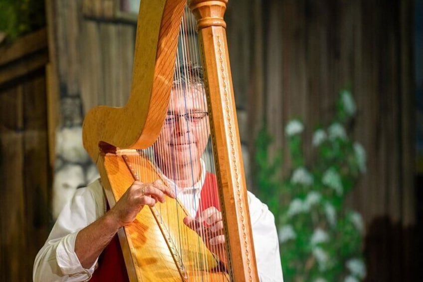 A person playing a large wooden harp. 5
