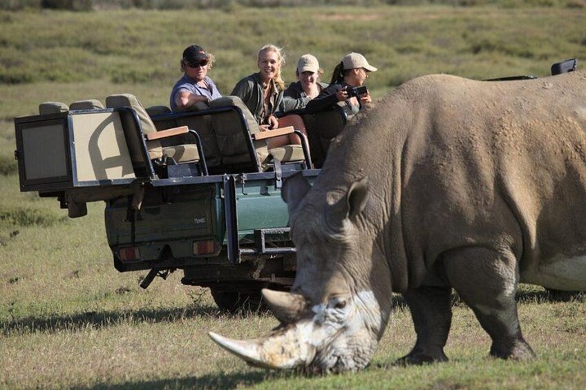 Brilliant Garden Route Tour 1