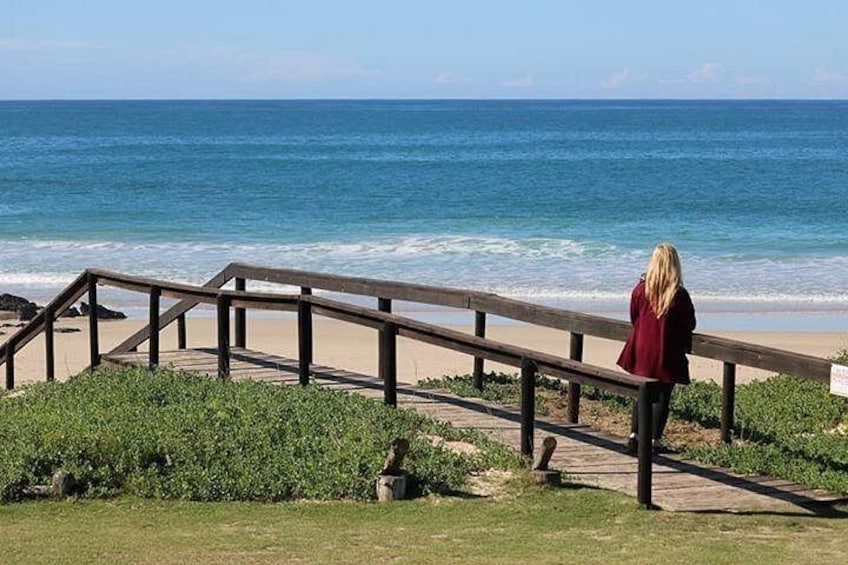Private Garden Route Tour from Cape Town with Game Drive 3