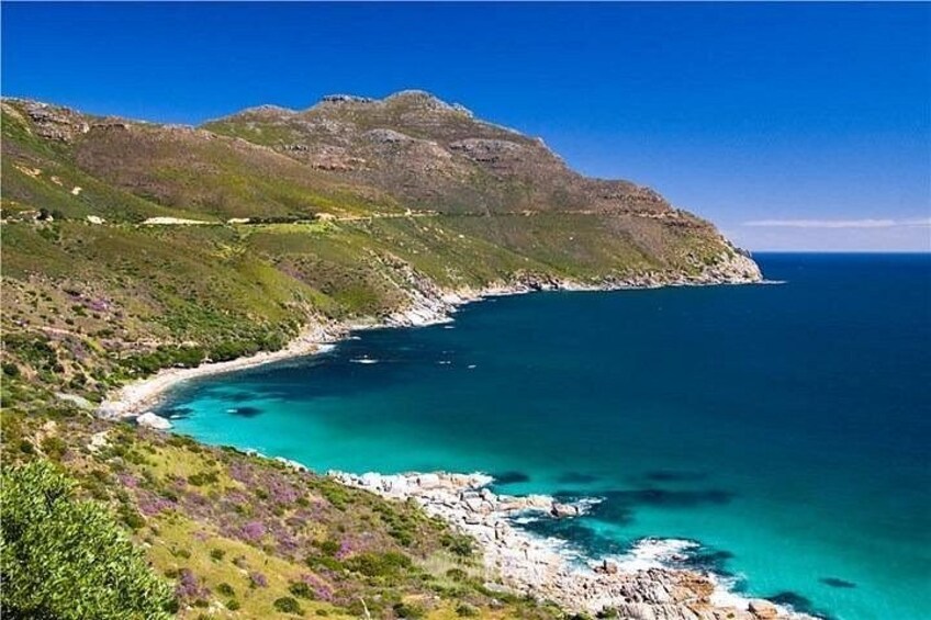 Private Garden Route Tour from Cape Town with Game Drive 4