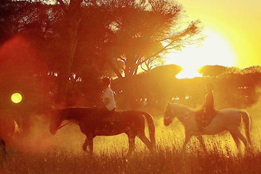 Horse Sanctuary & Trail Ride 2
