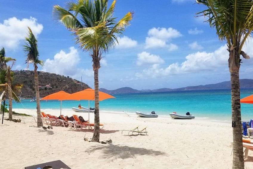 A beach with palm trees, lounge chairs, and boats. 3