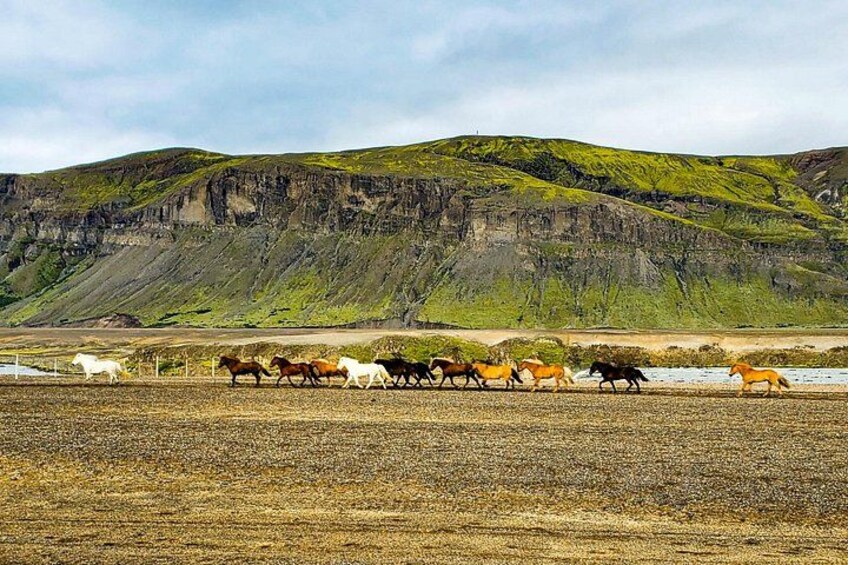 Landmannalaugar & Valley of Tears 4x4 Highlands Tour 3