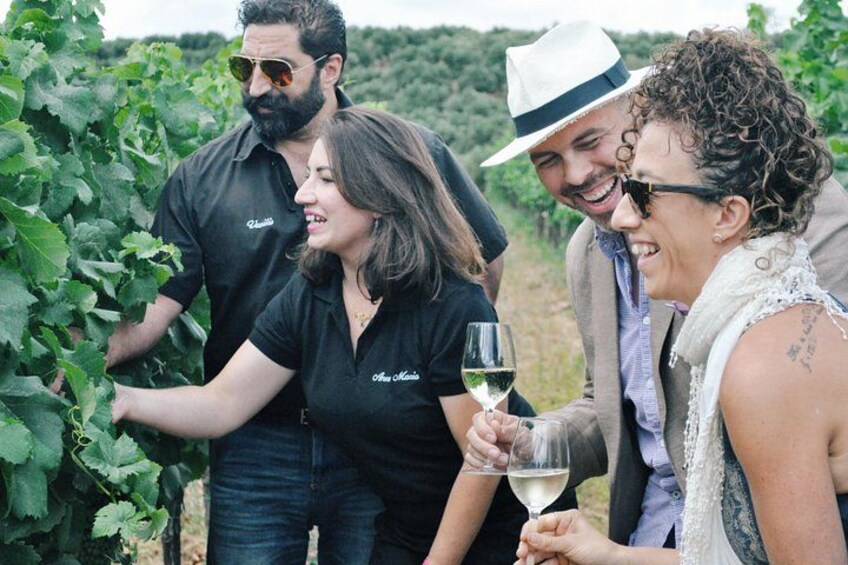 Personas en un viñedo, algunas sosteniendo copas de vino. 1